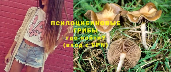 mdpv Нягань