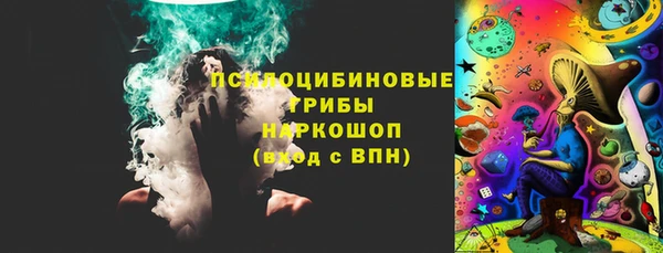 Альфа ПВП Няндома