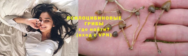 Альфа ПВП Няндома