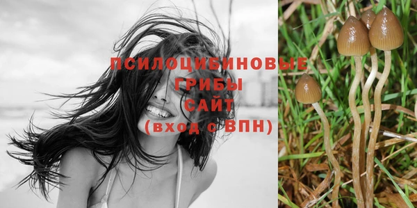 Альфа ПВП Няндома