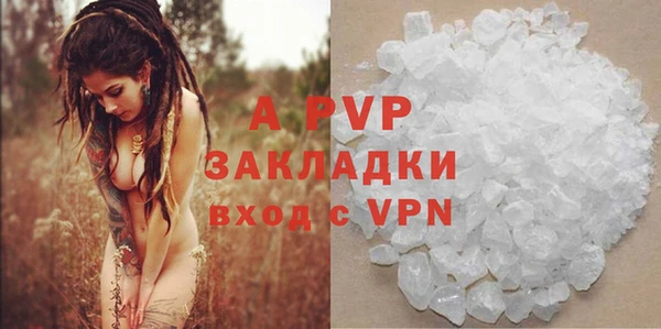 Альфа ПВП Няндома