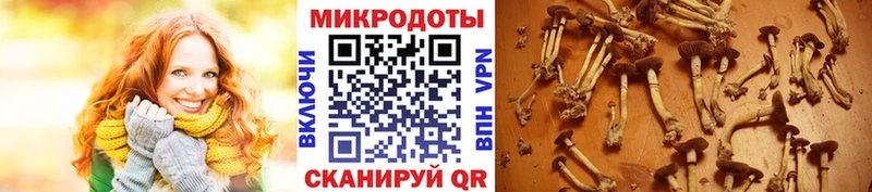 Галлюциногенные грибы GOLDEN TEACHER  KRAKEN как зайти  Сочи 